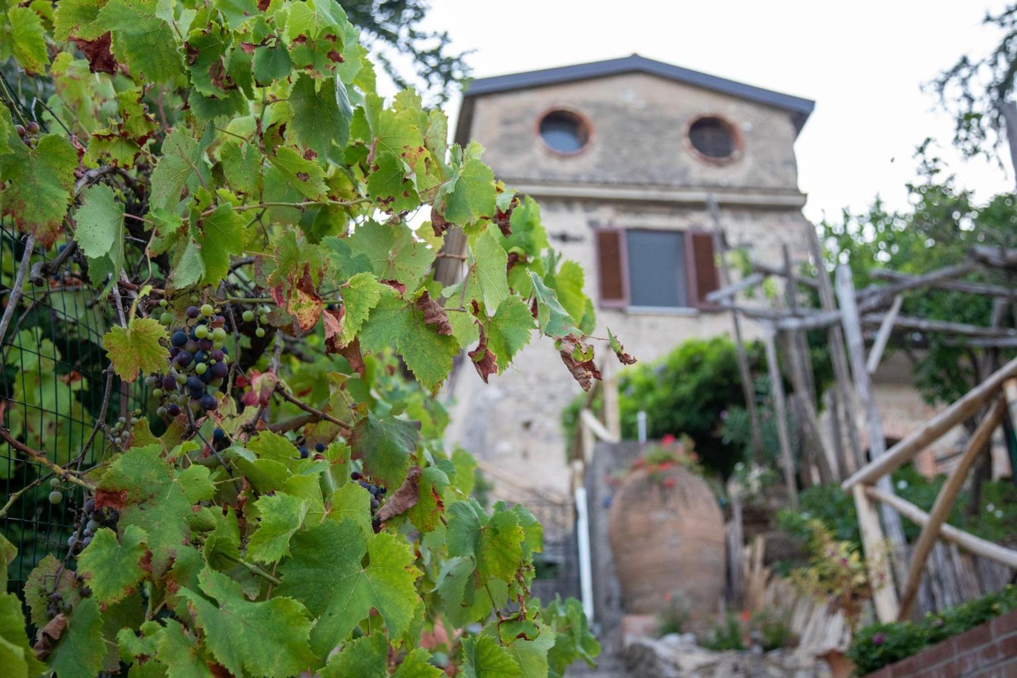 Il Melograno In Costa D'Amalfi - Romantic Experience Vietri 外观 照片